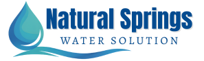ns.digitalraju.com Logo