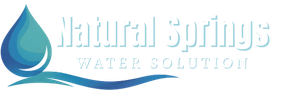 ns.digitalraju.com Logo